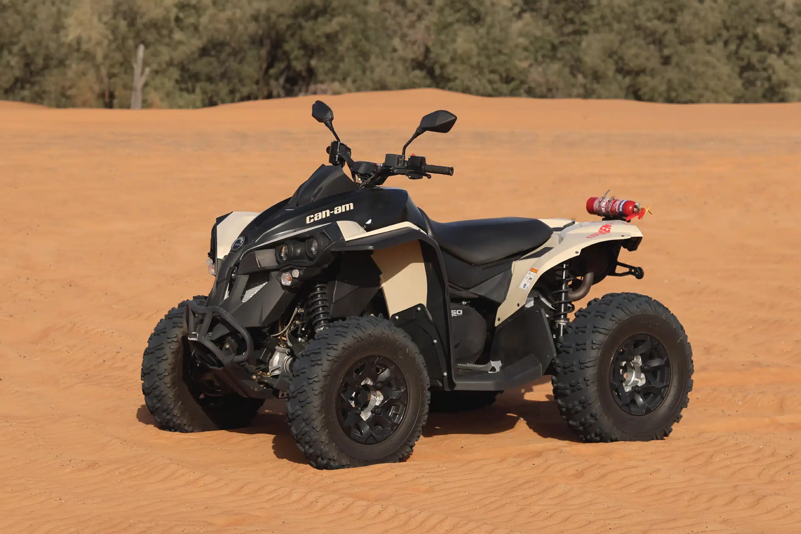 Can-Am Renegade 650CC in Dubai Desert
